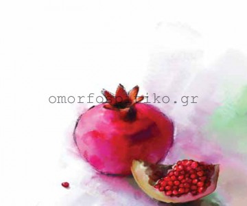 ΡΟΛΕΡ ΜΕ ΕΚΤΥΠΩΣΗ ΥΦΑΣΜΑ... 2