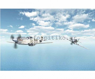 ΡΟΛΕΡ ΕΚΤΥΠΩΣΗ ΜΕ ΣΧΕΔΙΟ... 2