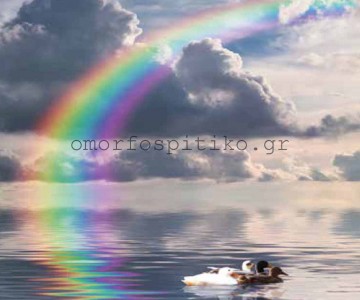 ΡΟΛΕΡ ΕΚΤΥΠΩΣΗ ΜΕ ΣΧΕΔΙΟ... 2