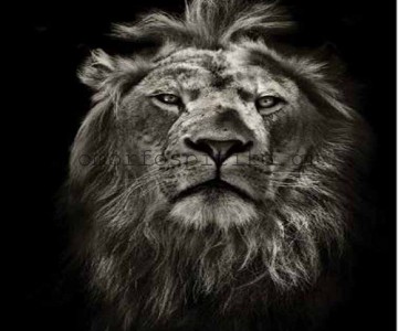 ΡΟΛΕΡ ΕΚΤΥΠΩΣΗ ΜΕ ΣΧΕΔΙΟ... 2