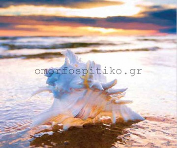 ΡΟΛΕΡ ΕΚΤΥΠΩΣΗ ΜΕ ΣΧΕΔΙΟ... 2