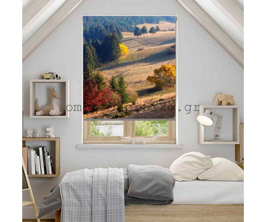 ΡΟΛΕΡ ΕΚΤΥΠΩΣΗ ΜΕ ΣΧΕΔΙΟ ΤΟΠΙΟ  ΕΚΡ4630