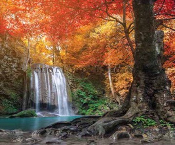 ΡΟΛΕΡ ΕΚΤΥΠΩΣΗ ΜΕ ΣΧΕΔΙΟ... 2