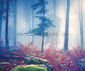 ΡΟΛΕΡ ΕΚΤΥΠΩΣΗ ΜΕ ΣΧΕΔΙΟ... 2