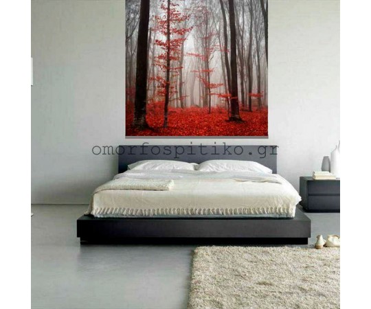 ΡΟΛΕΡ ΕΚΤΥΠΩΣΗ ΜΕ ΣΧΕΔΙΟ ΤΟΠΙΟ  ΕΚΡ2160