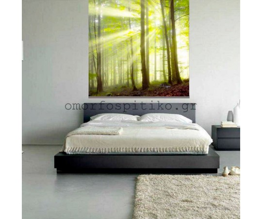 ΡΟΛΕΡ ΕΚΤΥΠΩΣΗ ΜΕ ΣΧΕΔΙΟ ΤΟΠΙΟ  ΕΚΡ2170