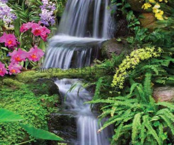 ΡΟΛΕΡ ΕΚΤΥΠΩΣΗ ΜΕ ΣΧΕΔΙΟ... 2