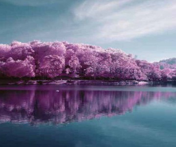 ΡΟΛΕΡ ΕΚΤΥΠΩΣΗ ΜΕ ΣΧΕΔΙΟ... 2