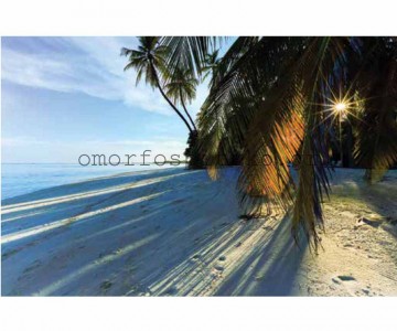 ΡΟΛΕΡ ΕΚΤΥΠΩΣΗ ΜΕ ΣΧΕΔΙΟ... 2