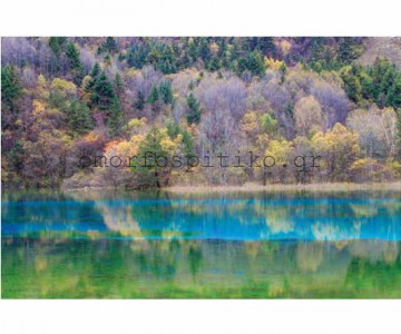 ΡΟΛΕΡ ΕΚΤΥΠΩΣΗ ΜΕ ΣΧΕΔΙΟ... 2