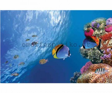 ΡΟΛΕΡ ΕΚΤΥΠΩΣΗ ΜΕ ΣΧΕΔΙΟ... 2