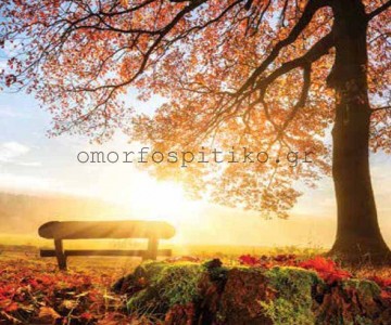 ΡΟΛΕΡ ΕΚΤΥΠΩΣΗ ΜΕ ΣΧΕΔΙΟ... 2