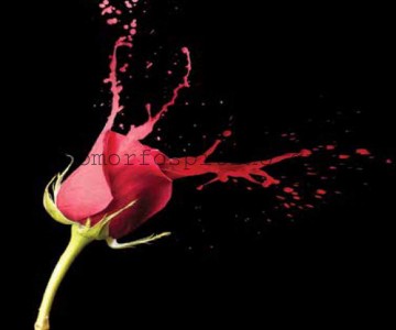 ΡΟΛΕΡ ΕΚΤΥΠΩΣΗ ΜΕ ΣΧΕΔΙΟ... 2