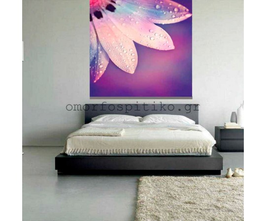 ΡΟΛΕΡ ΕΚΤΥΠΩΣΗ ΜΕ ΣΧΕΔΙΟ ΛΟΥΛΟΥΔΙΑ...