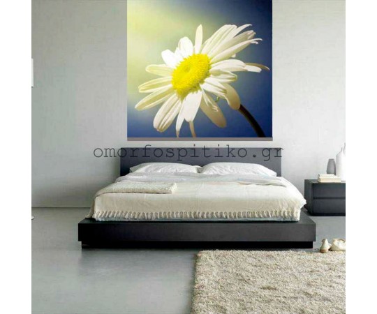 ΡΟΛΕΡ ΕΚΤΥΠΩΣΗ ΜΕ ΣΧΕΔΙΟ ΛΟΥΛΟΥΔΙΑ...