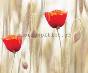 ΡΟΛΕΡ ΕΚΤΥΠΩΣΗ ΜΕ ΣΧΕΔΙΟ... 2