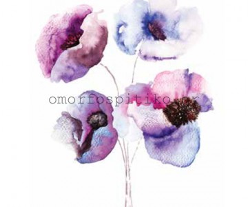 ΡΟΛΕΡ ΕΚΤΥΠΩΣΗ ΜΕ ΣΧΕΔΙΟ... 2