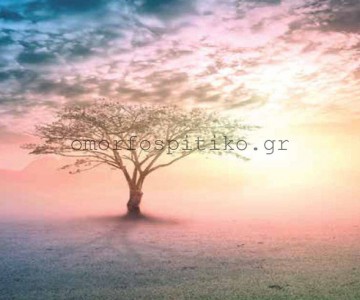 ΡΟΛΕΡ ΕΚΤΥΠΩΣΗ ΜΕ ΣΧΕΔΙΟ... 2