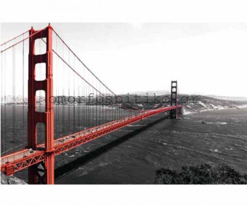 ΡΟΛΕΡ ΕΚΤΥΠΩΣΗ ΜΕ ΣΧΕΔΙΟ... 2