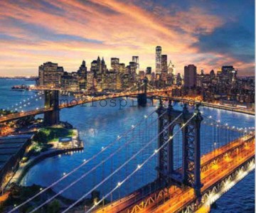 ΡΟΛΕΡ ΕΚΤΥΠΩΣΗ ΜΕ ΣΧΕΔΙΟ... 2