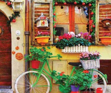 ΡΟΛΕΡ ΕΚΤΥΠΩΣΗ ΜΕ ΣΧΕΔΙΟ... 2