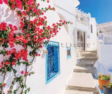 ΡΟΛΕΡ ΕΚΤΥΠΩΣΗ ΜΕ ΣΧΕΔΙΟ... 2