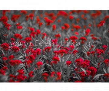 ΡΟΛΕΡ ΕΚΤΥΠΩΣΗ ΜΕ ΛΟΥΛΟΥΔΙΑ... 2