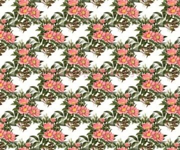 ΡΟΛΕΡ ΕΚΤΥΠΩΣΗ ΜΕ ΛΟΥΛΟΥΔΙΑ... 2