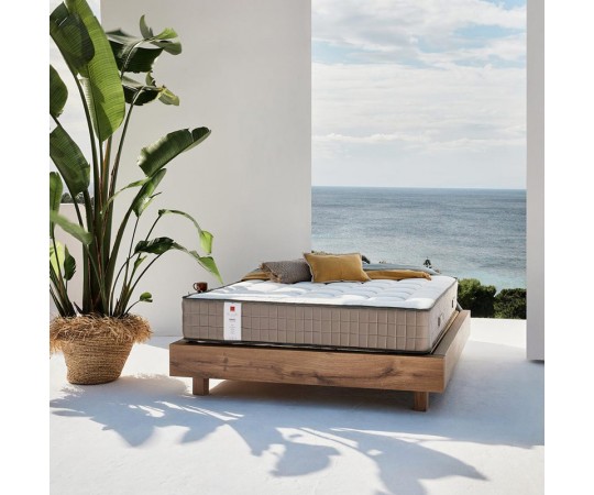 ΑΝΑΤΟΜΙΚΟ ΣΤΡΩΜΑ KAMARES ΚΑΝΤΙΑ